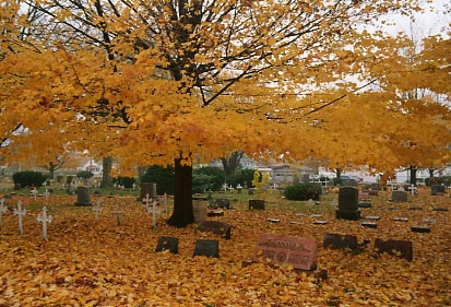 Cloud of Leaves - © 2003 Jimmy Rocker Photography