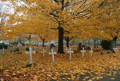 Row of Crosses - © 2003 Jimmy Rocker Photography